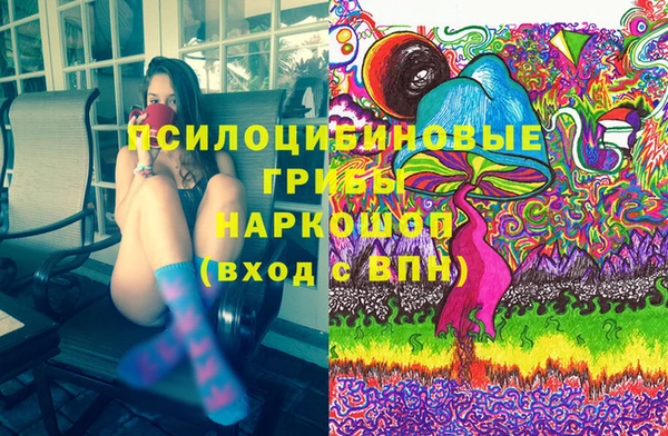ГАЛЛЮЦИНОГЕННЫЕ ГРИБЫ Куйбышев