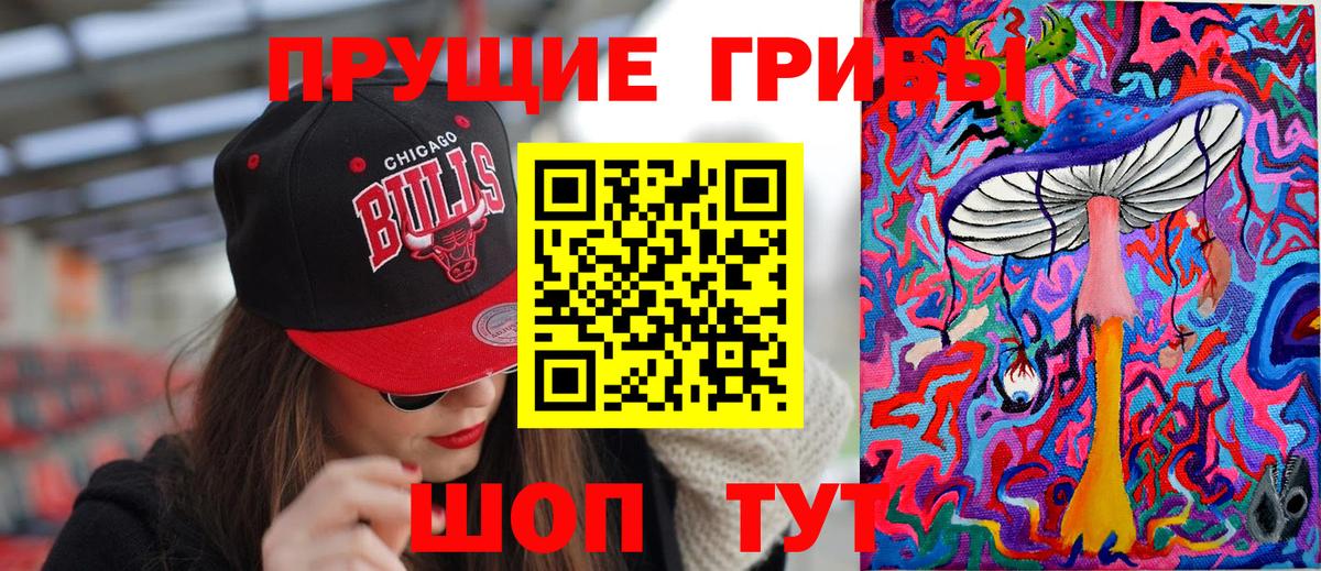 Волгодонск  Галлюциногенные грибы Psilocybe  Вход с VPN 