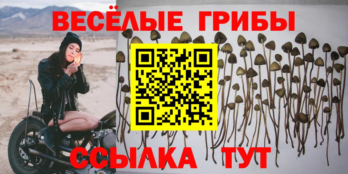 Псилоцибиновые грибы мицелий  Псилоцибиновые грибы Magic Shrooms  Волгодонск 