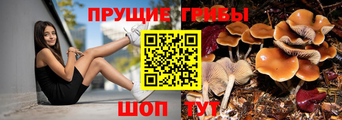 Псилоцибиновые грибы мухоморы Волгодонск